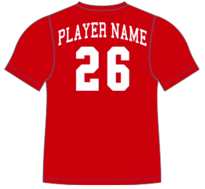 Pre-Order House Day Jersey
