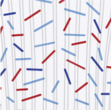 Vestavia Sprinkle Socks