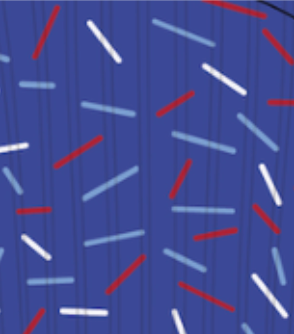 Vestavia Sprinkle Socks